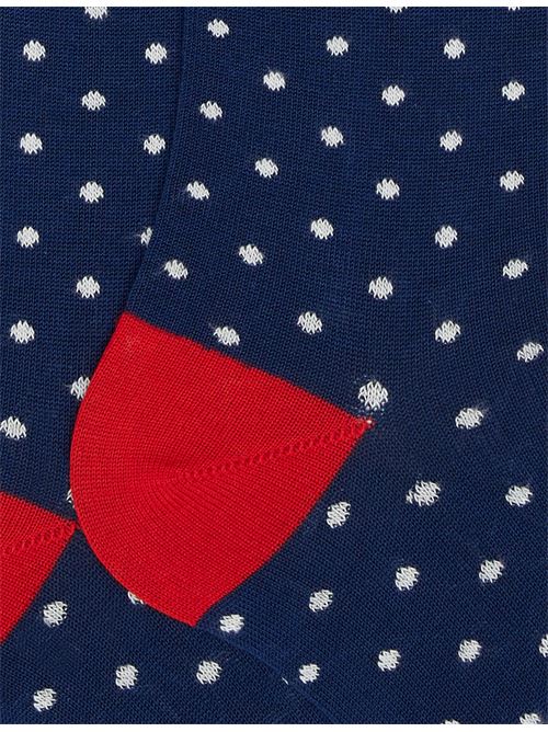 AP10361331592 FANTASIA gallo | AP10361331592 FANTASIA